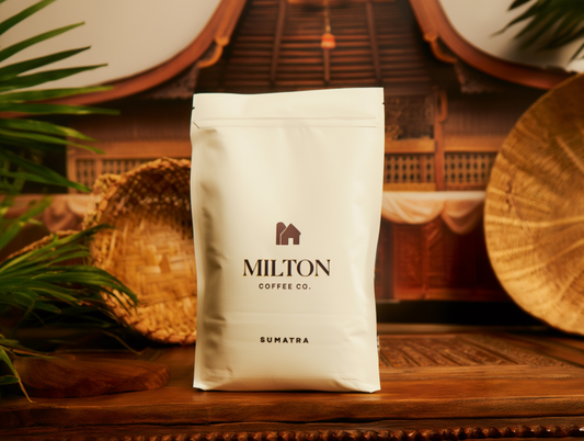 Sumatra Gegarang Aulia